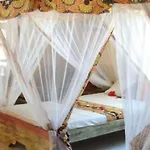 Zanzibar Safari Club